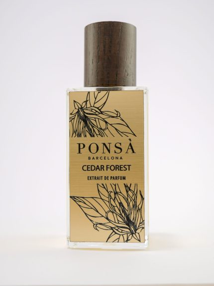 Cedar Forest Perfume